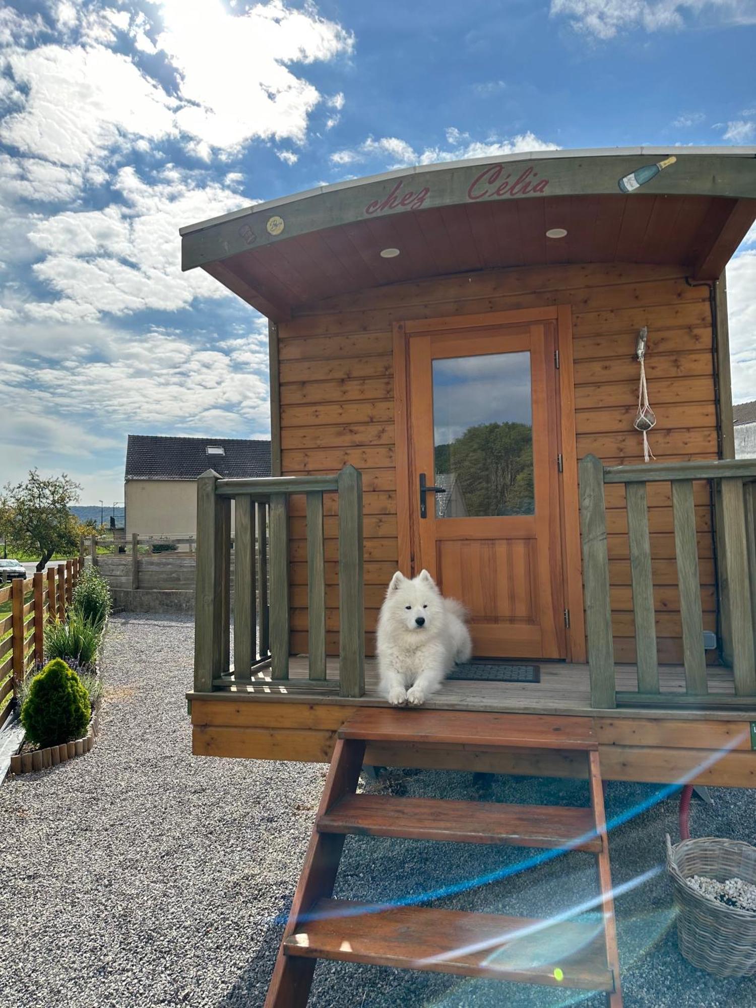Chez Celia, Roulotte En Champagne Villa Fleury-la-Riviere Exterior photo