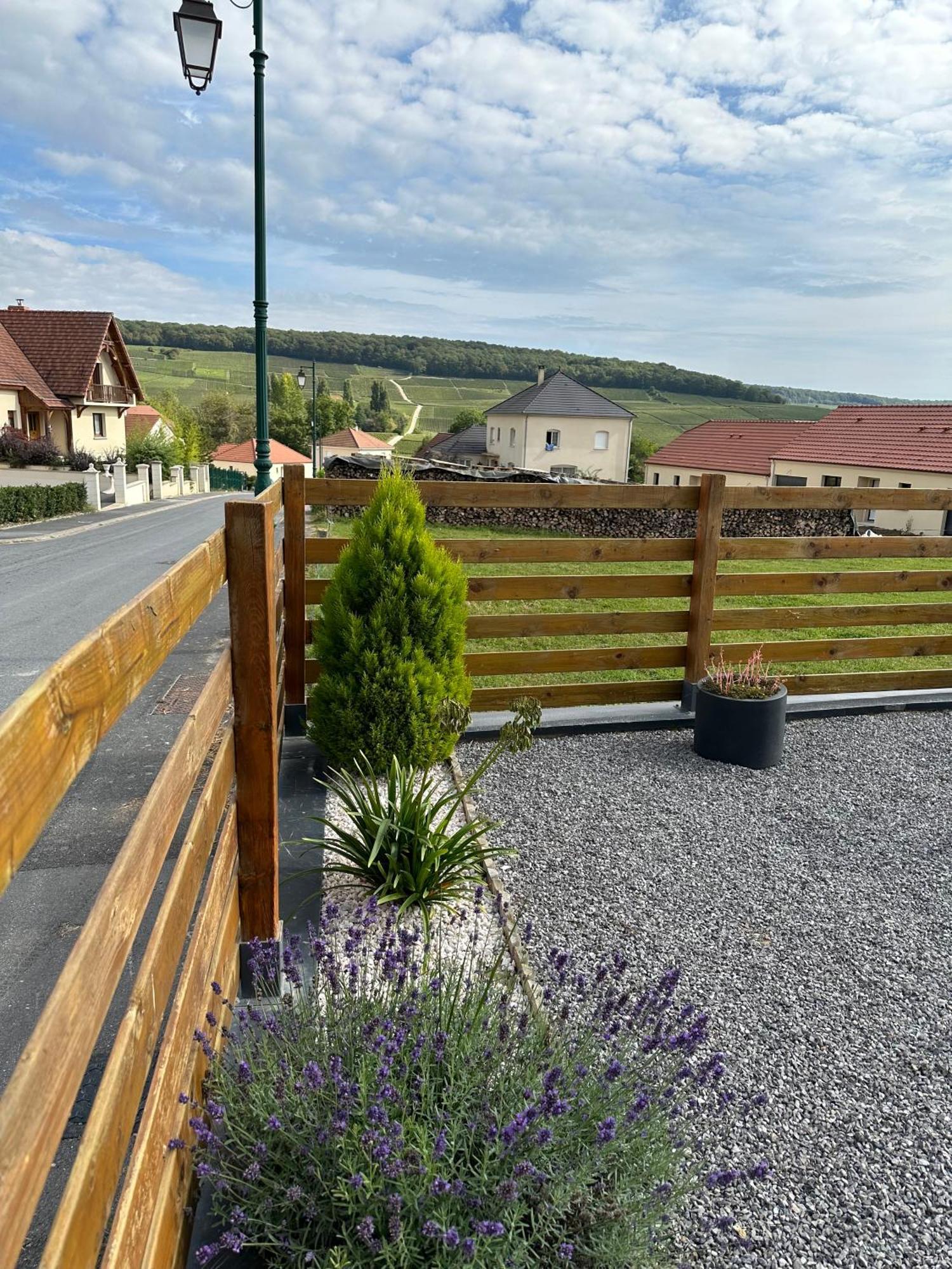 Chez Celia, Roulotte En Champagne Villa Fleury-la-Riviere Exterior photo